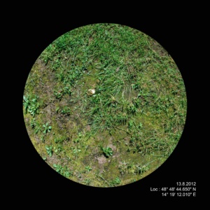 2012_trava_004
