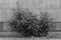 rb_2013_008_prefa_007-1